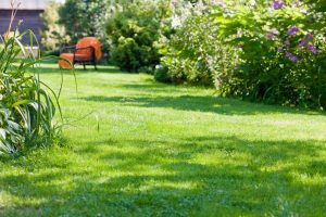 travaux jardin et paysage Epiez-sur-Chiers